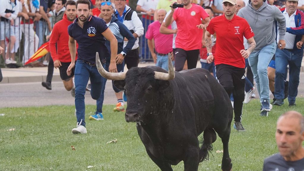 El Toro de la Vega sin lanzadas se desarrolla sin incidentes