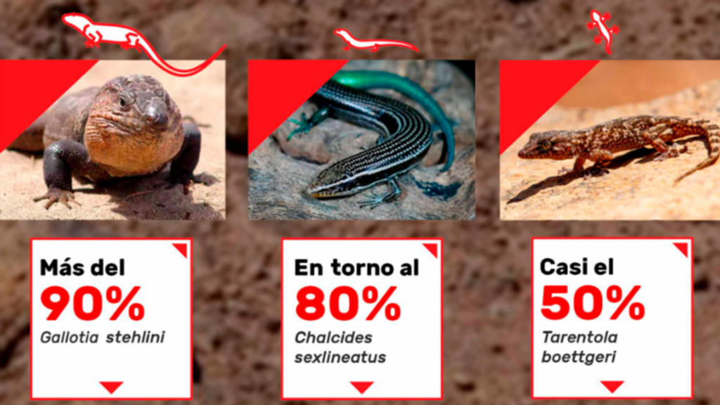 Porcentaje de desaparición de especies por la culebra real