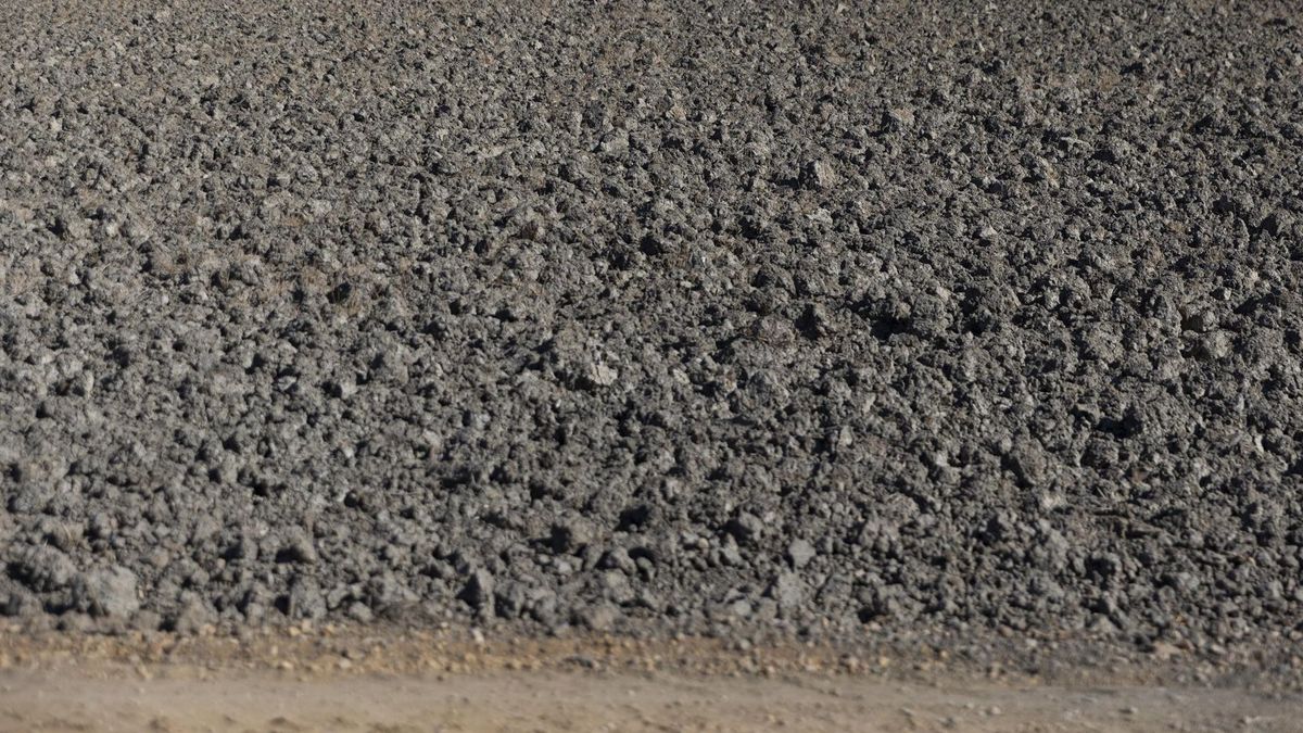 Terreno seco por la falta de lluvia Terreno seco por la falta de lluvia