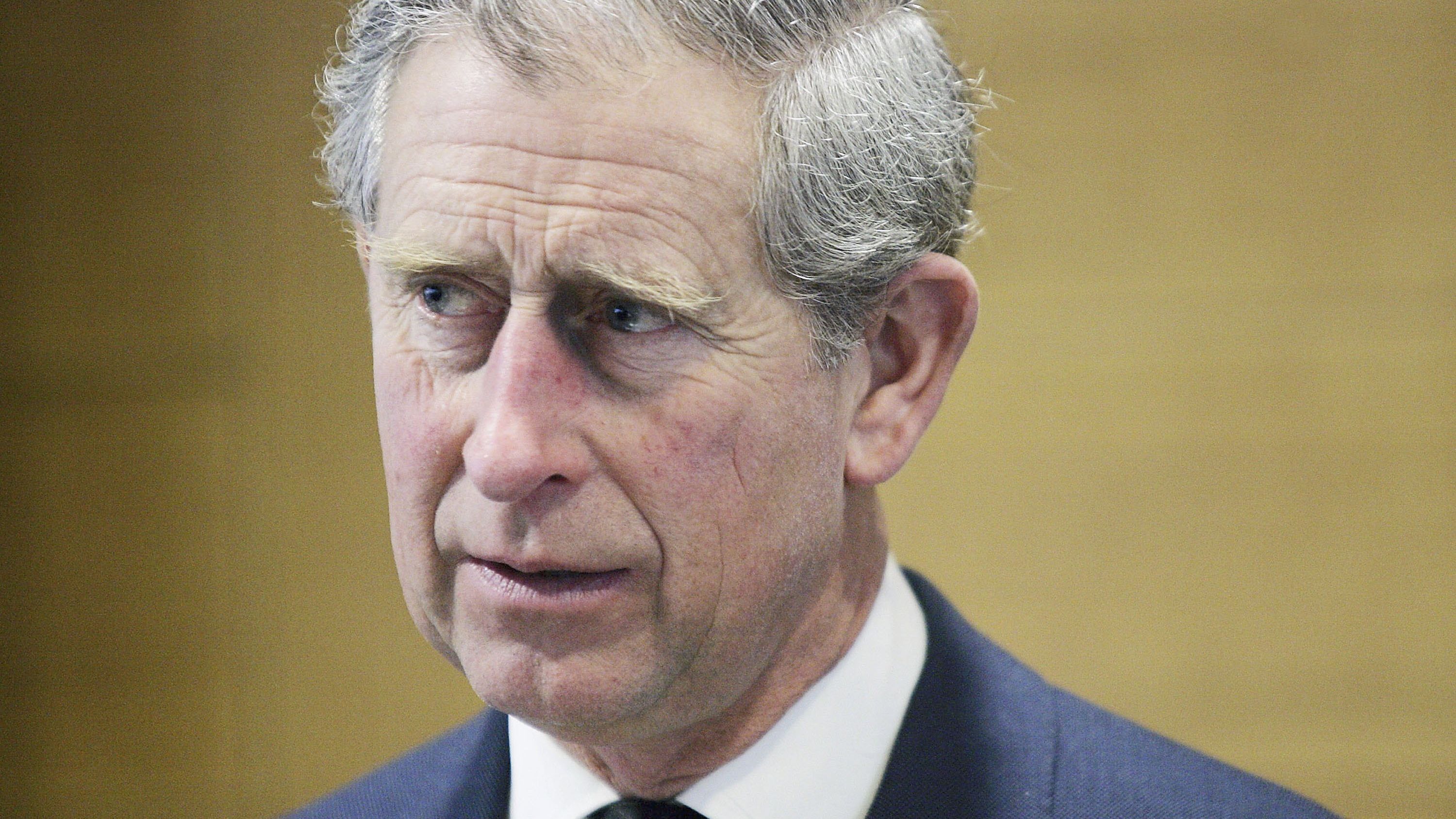 El rey Carlos III, en 2006