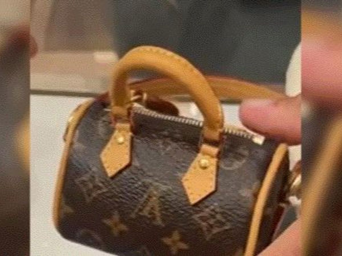 Louis Vuitton tiene un bolso de 900 euros para recoger las cacas