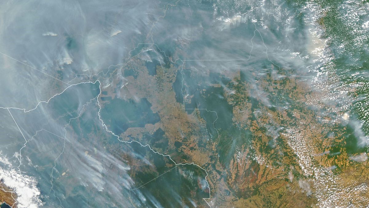 Miles de incendios están quemando la Amazonia y el humo cubre toda la selva