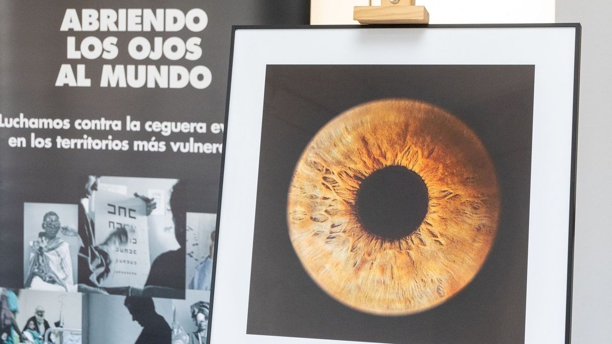El actor Javier Bardem ha 'donado' su iris a la Fundación Ojos del Mundo para combatir la ceguera evitable