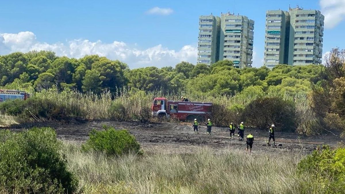 El Saler bomberos El Saler bomberos