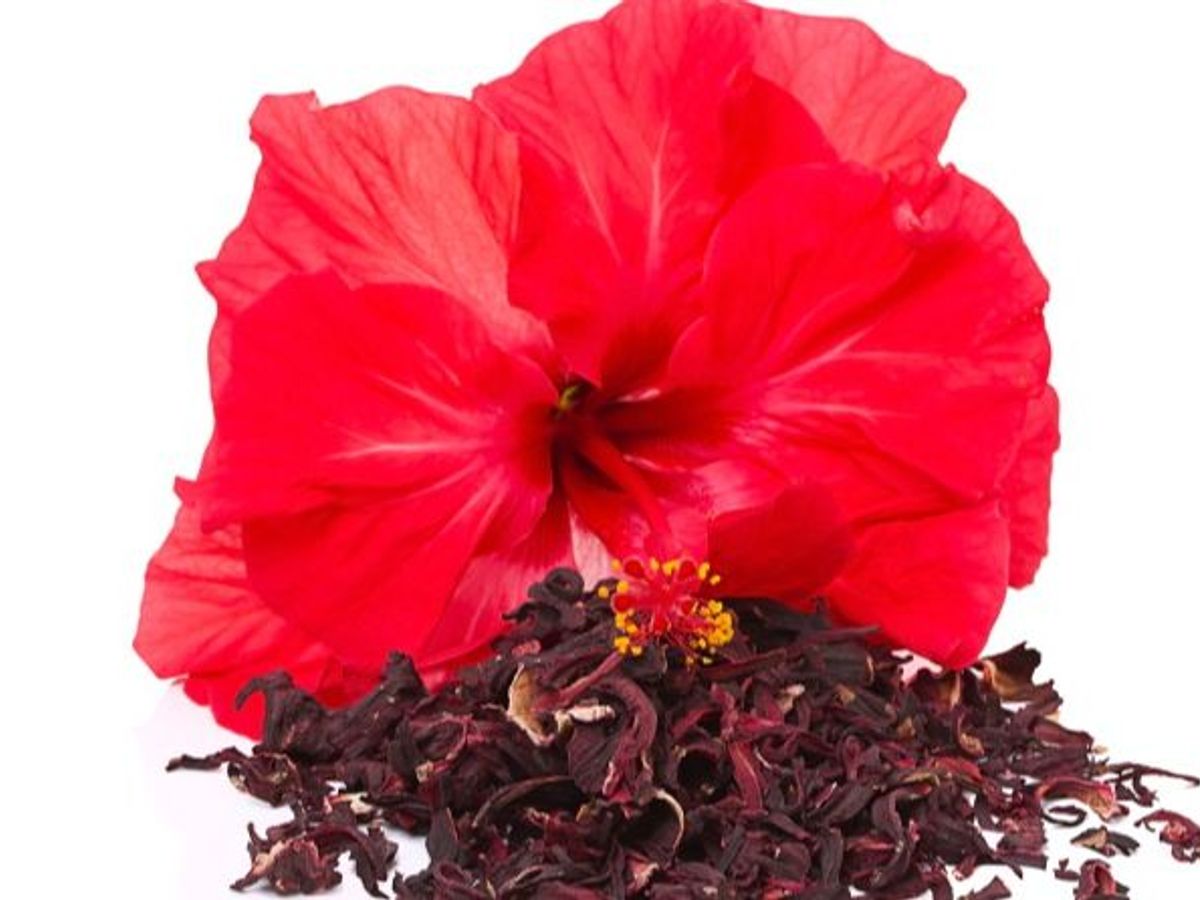 Blog de Esperanza Gracia - Descubre qué esconde la linda flor de hibisco