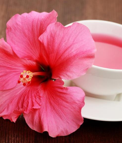Infusión de flor de hibisco