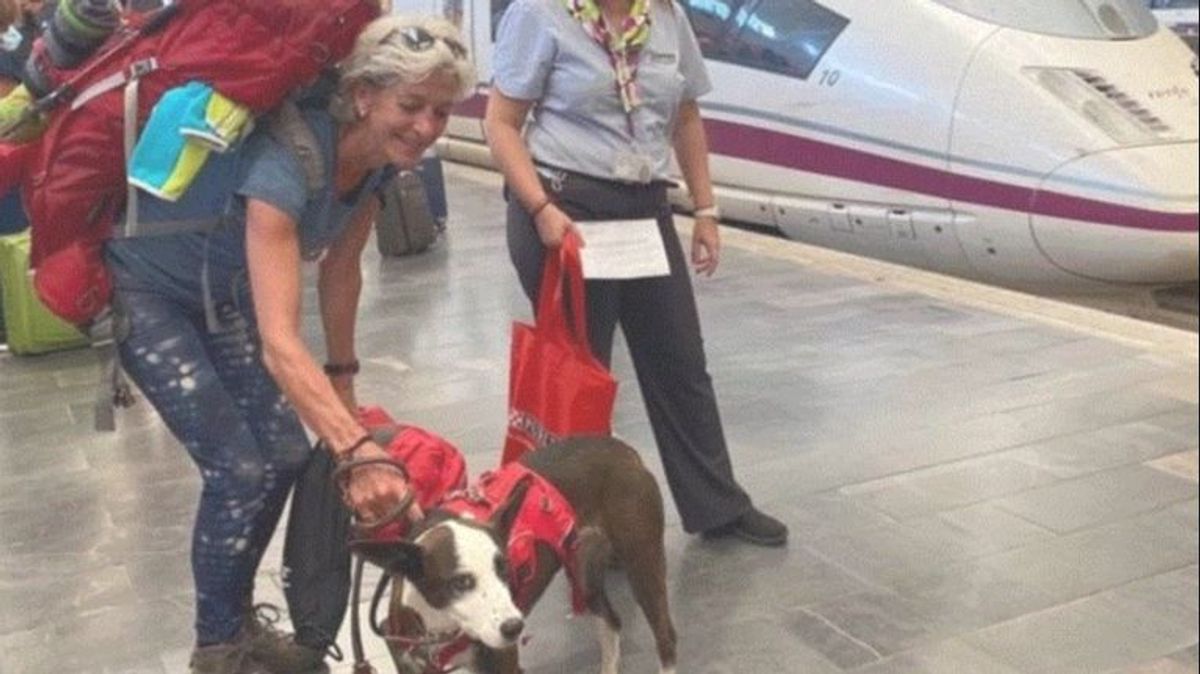 Una perrita de tres años, la primera mascota de hasta 40 kilos que viaja en un AVE desde Delicias