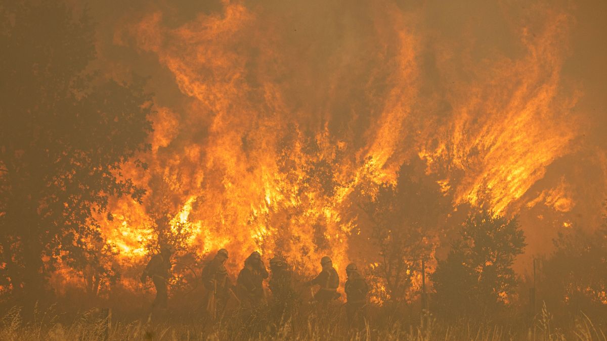 EuropaPress 4528182 efectivos bomberos incendio sierra culebra 18 junio 2022 zamora castilla EuropaPress 4528182 efectivos bomberos incendio sierra culebra 18 junio 2022 zamora castilla