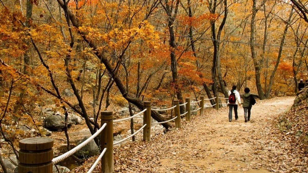 El otoño será más cálido de lo normal El otoño será más cálido de lo normal