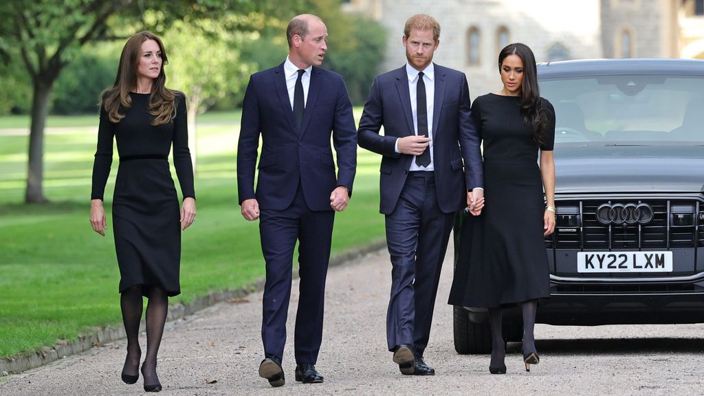 Meghan Markle breaks protocol by shaking hands with Harry