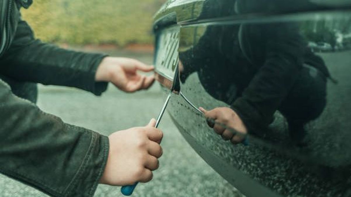 Un ladrón intenta robar una matrícula Un ladrón intenta robar una matrícula