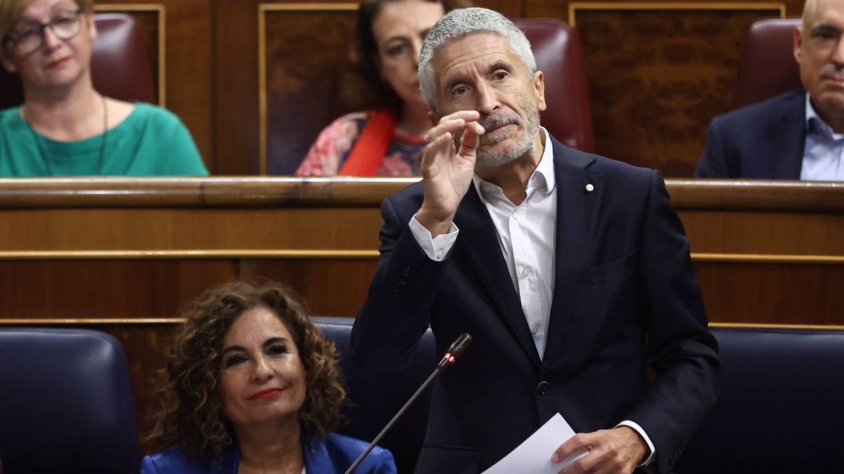 El ministro del Interior, Fernando Grande-Marlaska, en el Congreso El ministro del Interior, Fernando Grande-Marlaska, en el Congreso