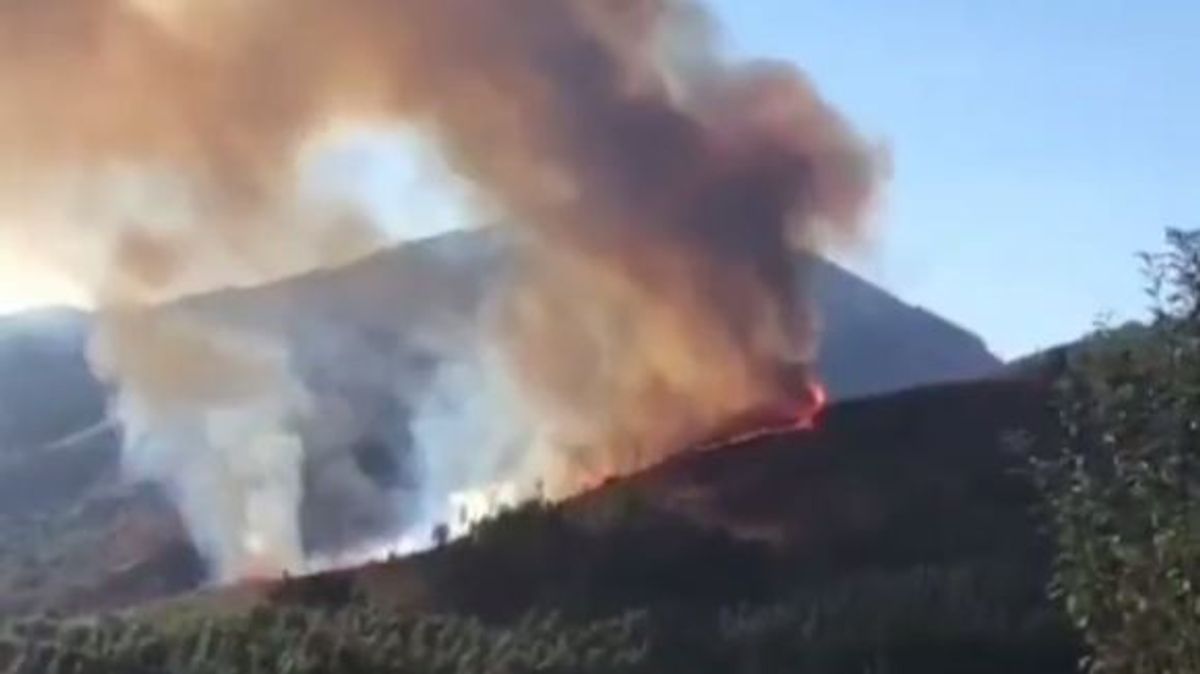 Incendio forestal en Zalla, Vizcaya