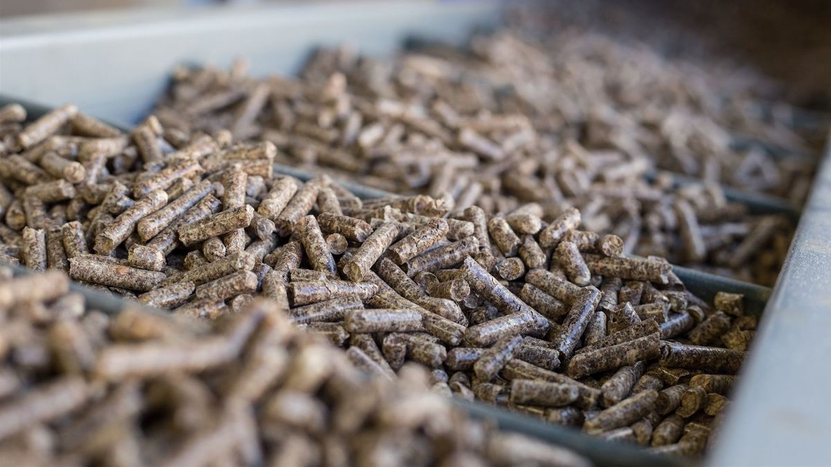 pellets, el combustible de moda ante la subida de la energía