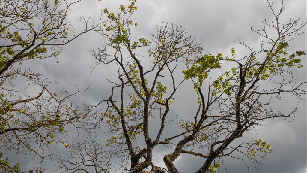 Temperaturas otoñales el fin de semana: hará menos de 5 grados en zonas de España