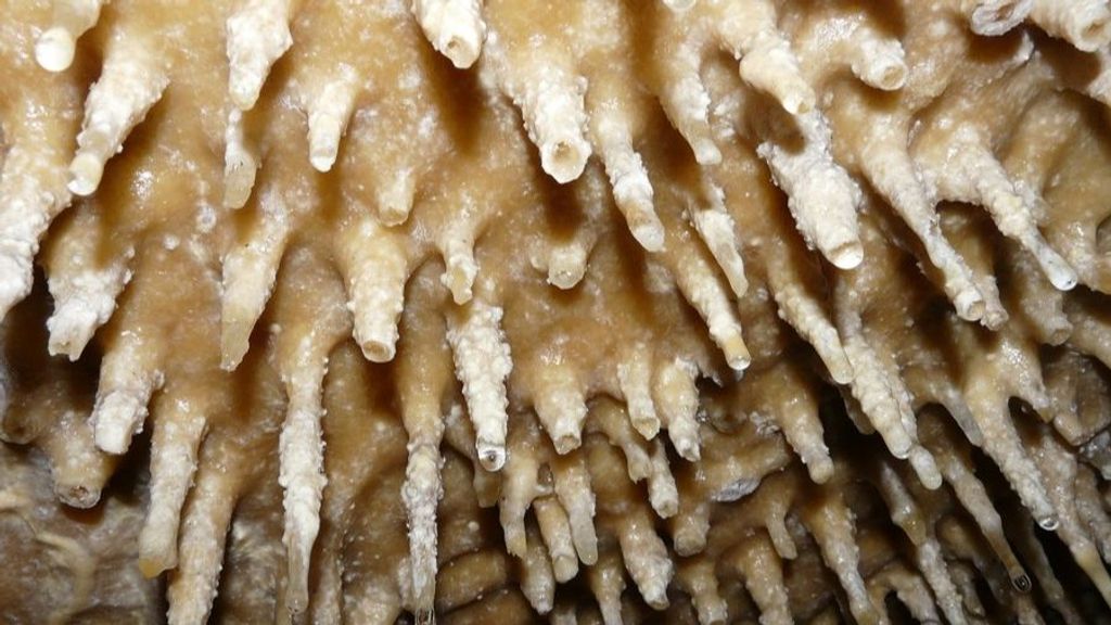 Atapuerca Espeleo.