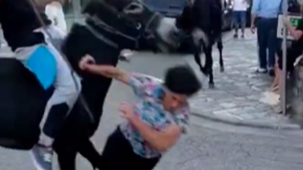 Una mujer es embestida por un burro durante una carrera de estos animales en la localidad cántabra de Vega del Pas