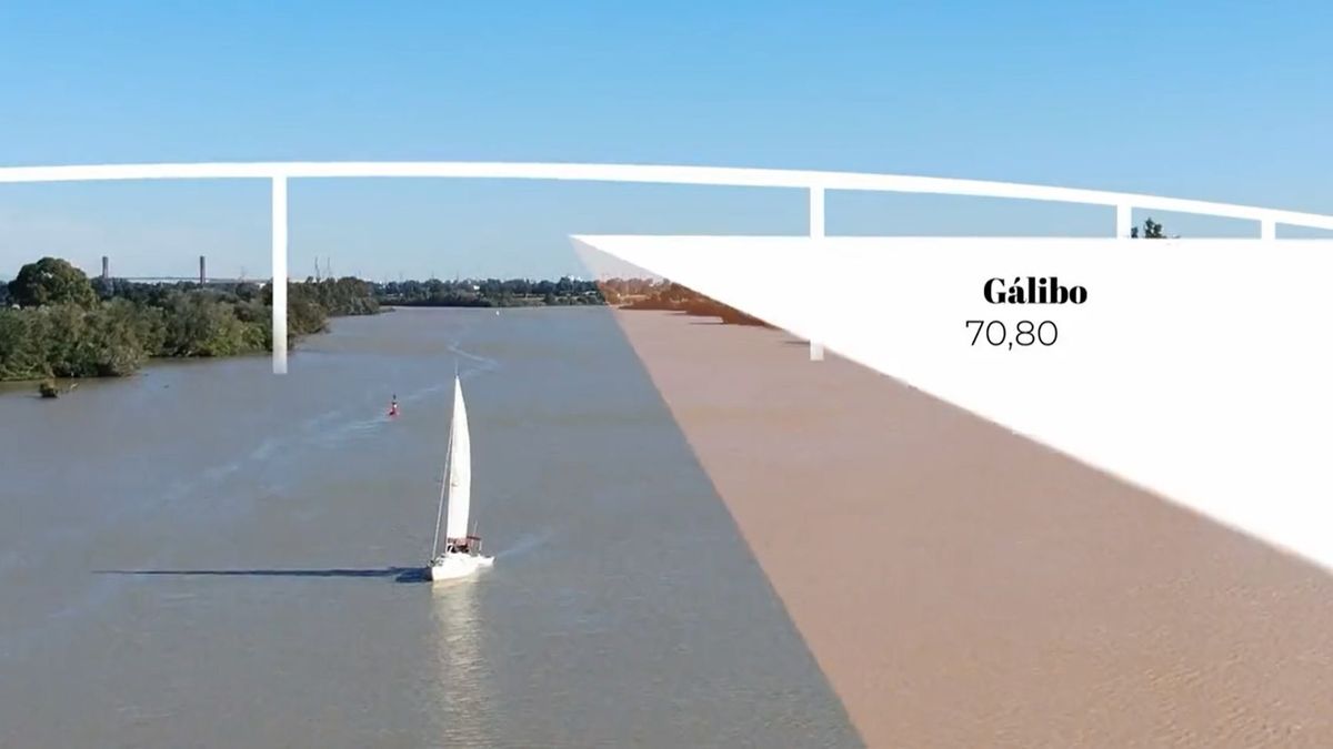 El viaducto que unirá las localidades sevillanas de Dos Hermanas y Coria del Río. El viaducto que unirá las localidades sevillanas de Dos Hermanas y Coria del Río.