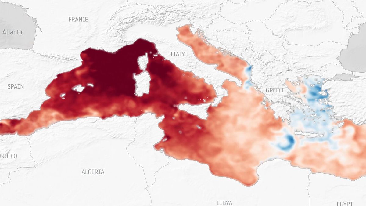 La ola de calor marina en el Mediterráneo ha sido extrema: qué consecuencias está teniendo