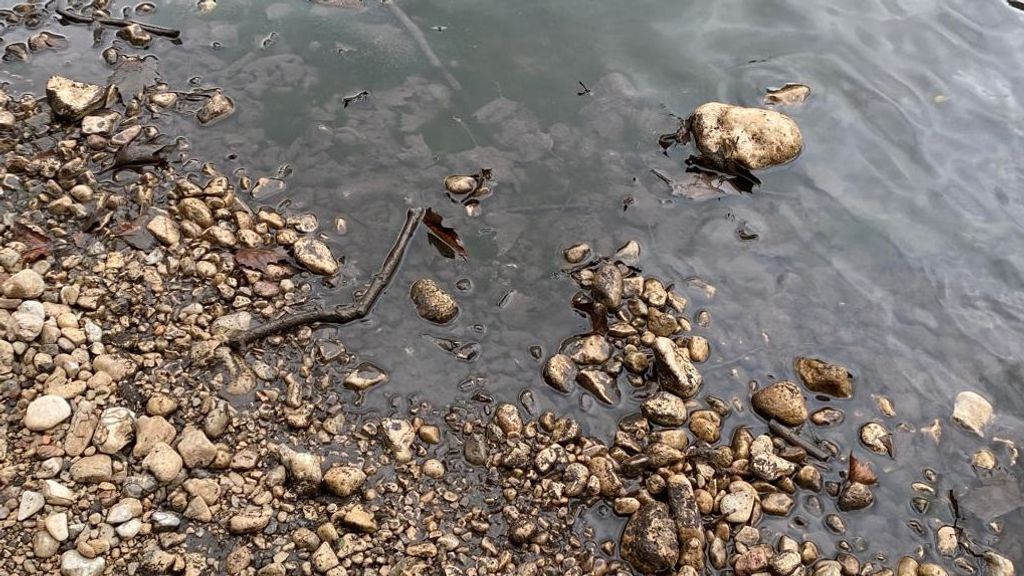 La ribera del río y el agua completamente negras
