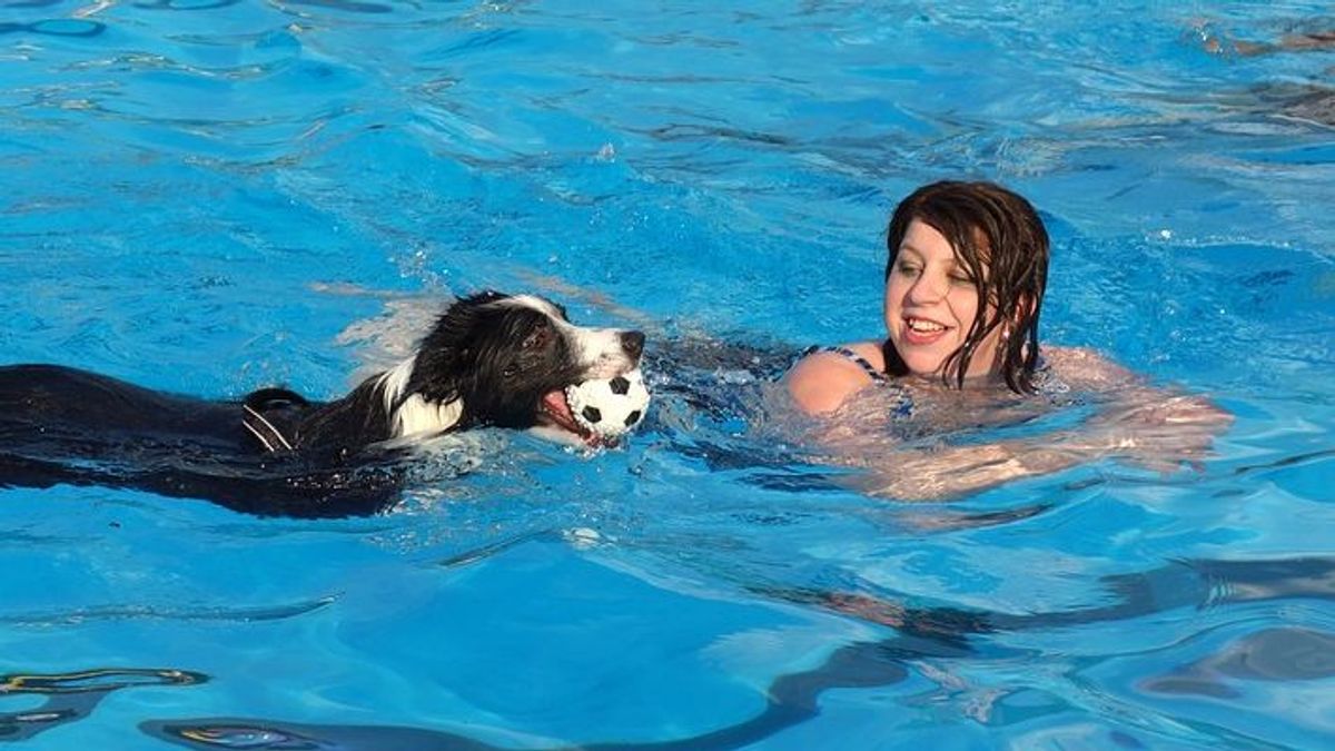 Un perro disfruta de un chapuzón en una piscina junto a su dueña Un perro disfruta de un chapuzón en una piscina junto a su dueña