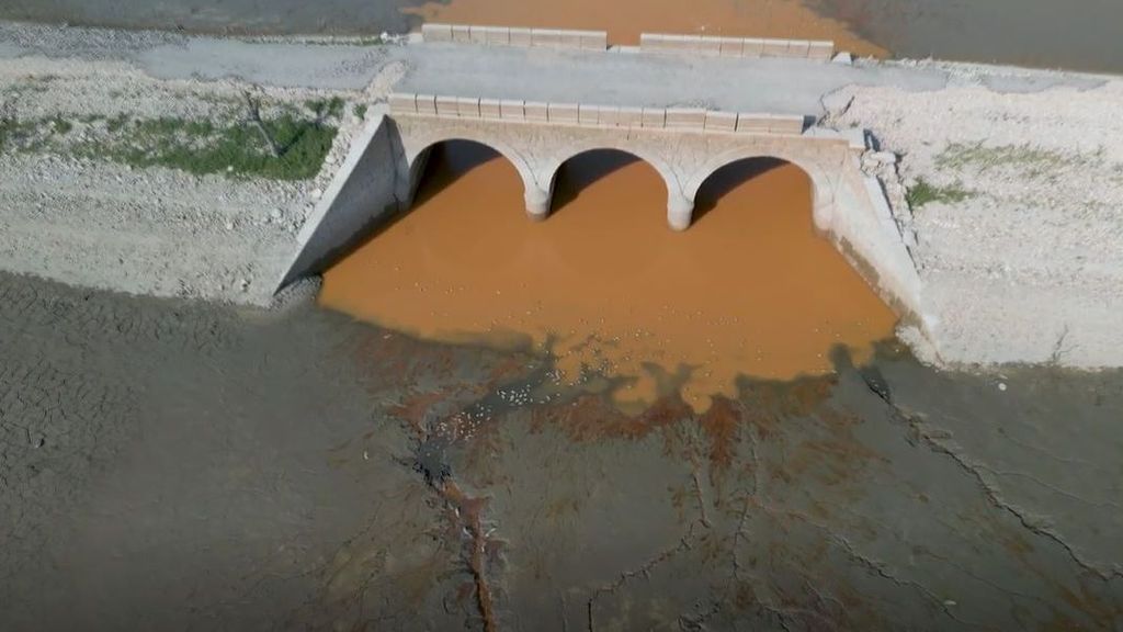 La falta de agua en el embalse de la Almendra provoca la muerte de cientos de peces