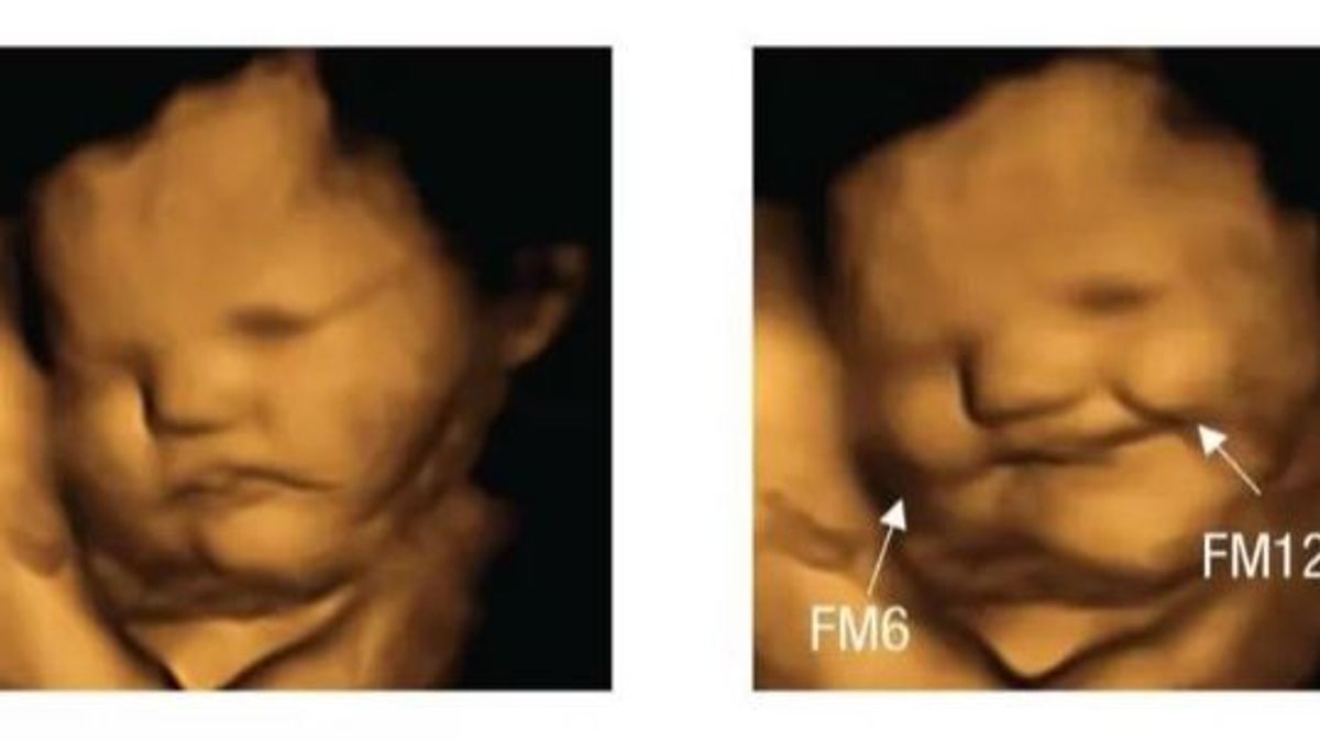 Los bebés en el vientre reaccionan al sabor de los alimentos que ingiere la madre