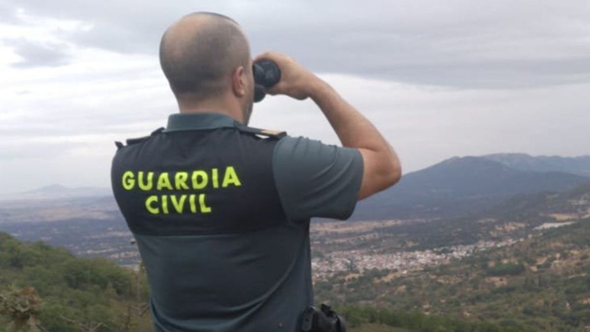 Imagen de archivo de un agente de la Guardia Civil en una búsqueda Imagen de archivo de un agente de la Guardia Civil en una búsqueda
