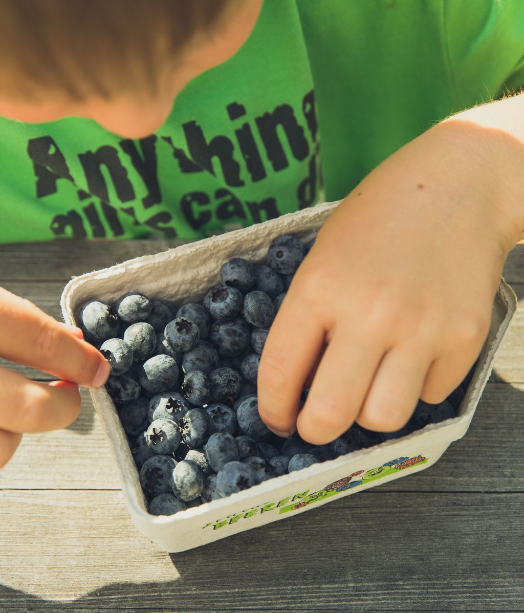 La fruta es una opción muy saludable. FUENTE: Pexels