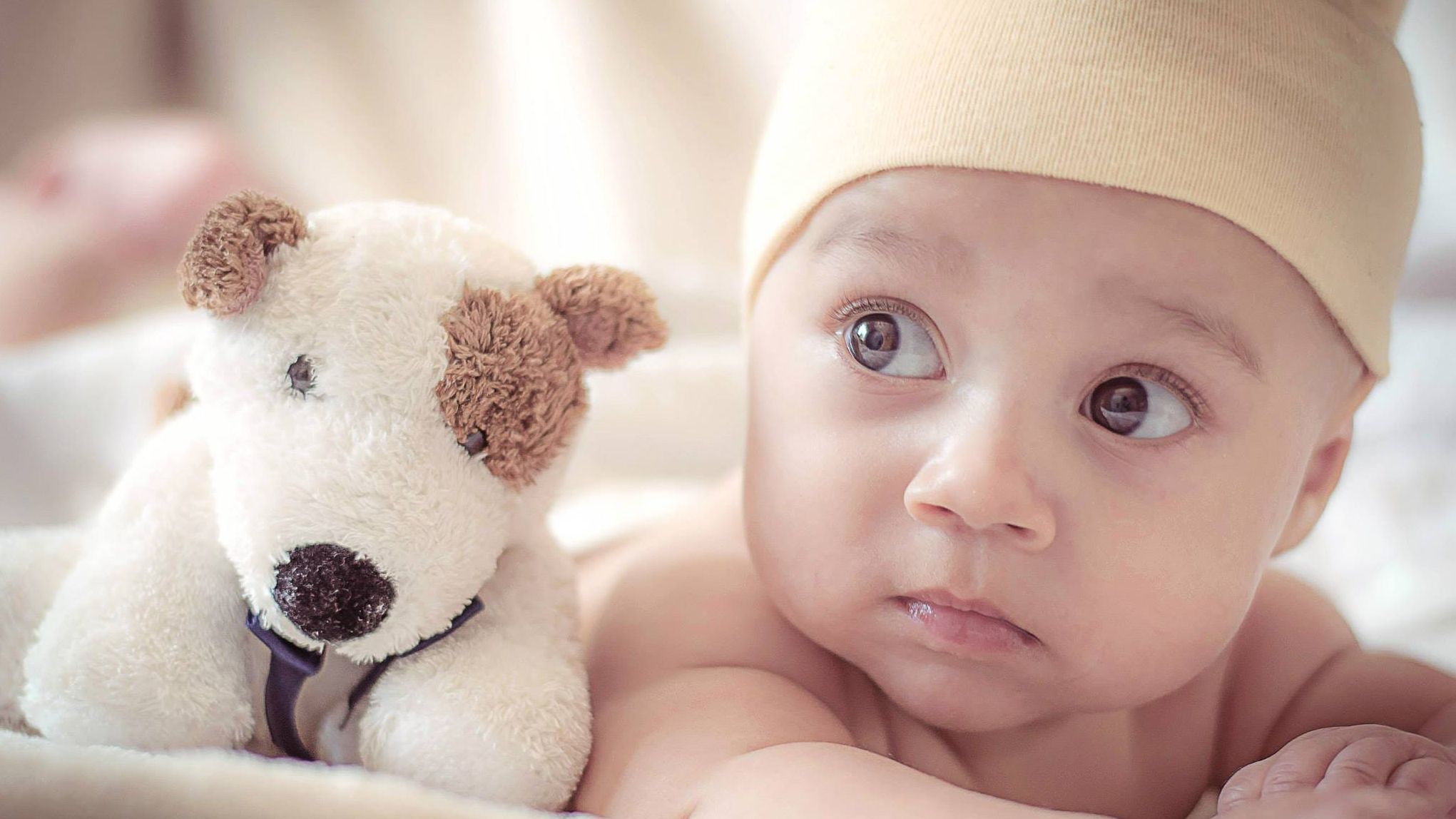 A muchos bebés les gusta ir acompañados de su peluche favorito. FUENTE: Pexels