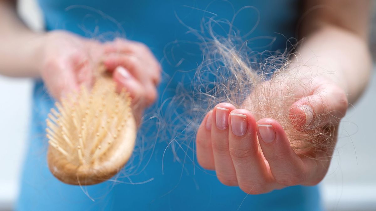 Algunos alimentos evitan la caída del pelo en otoño