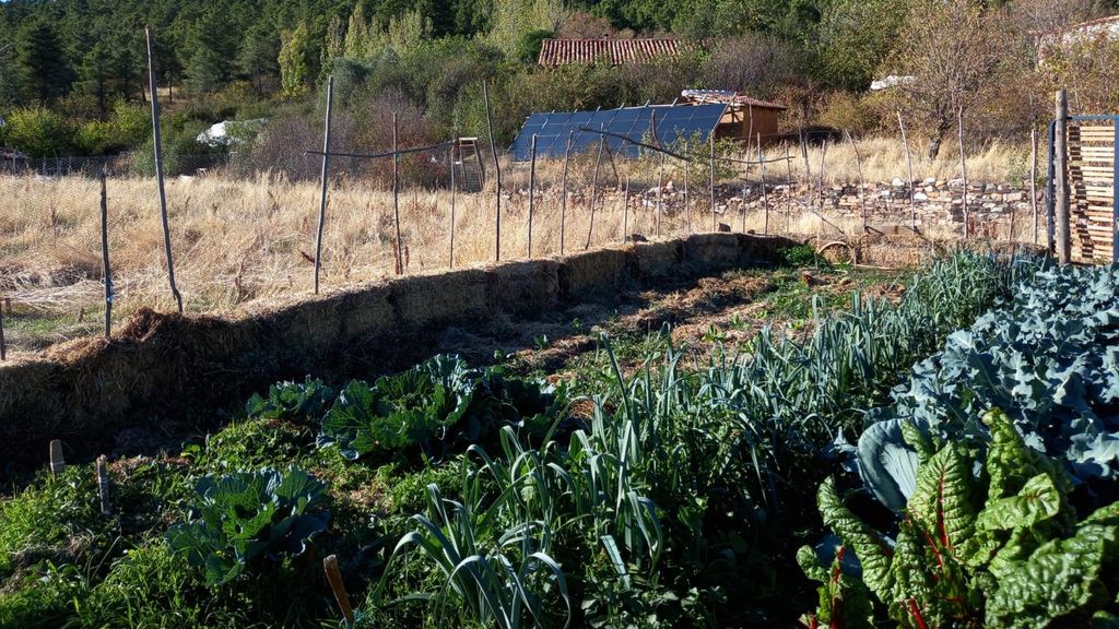 La huerta de Fraguas