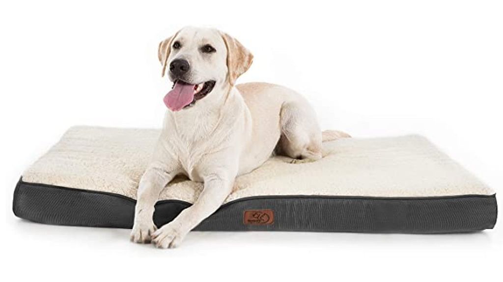 Las mejores camas ortopédicas para perros
