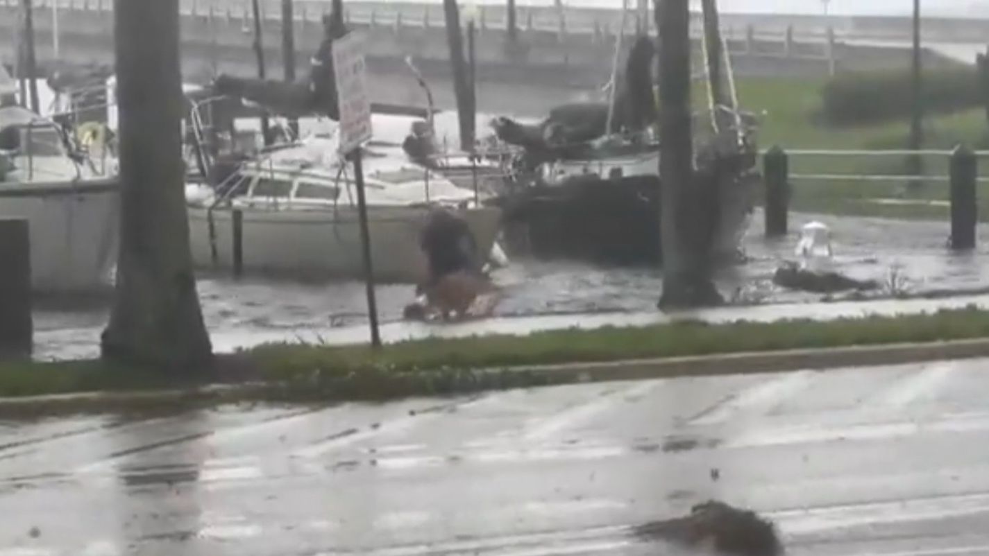 Héroes anonimos arriesgan su vida para salvar las mascotas en mitad del huracán Ian en Florida
