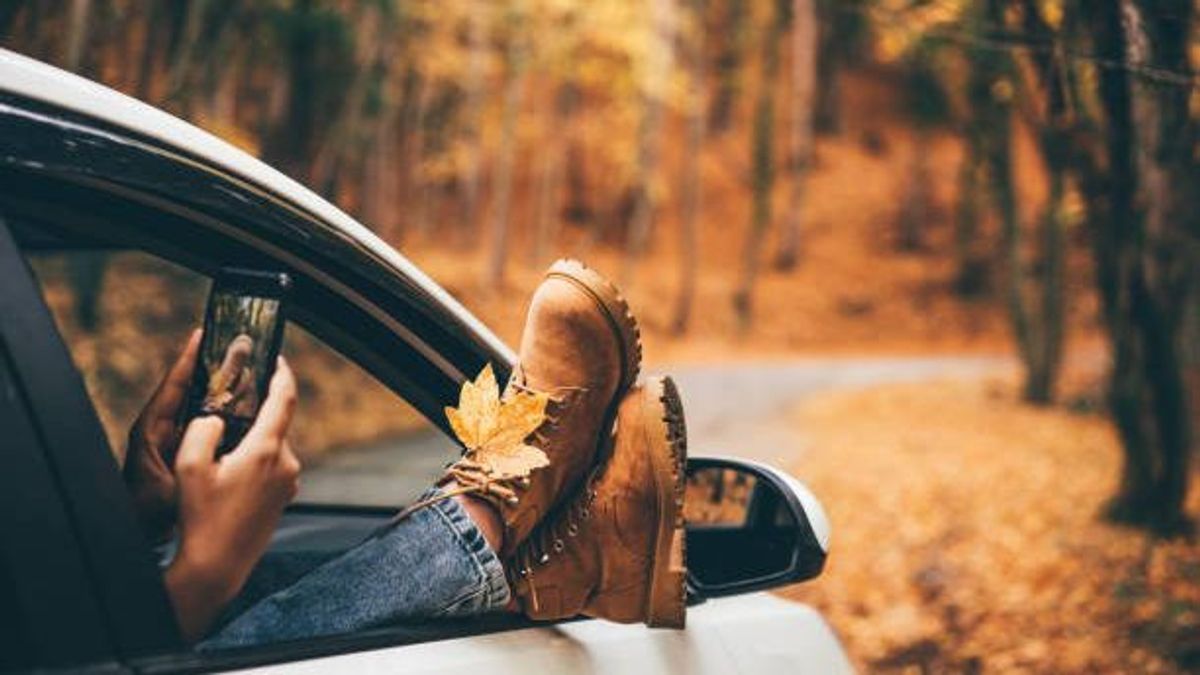Viajar en otoño, Viajar en otoño,