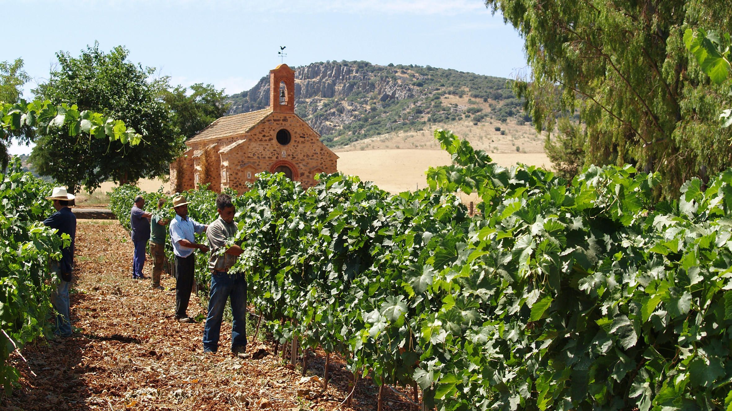 vina con iglesia