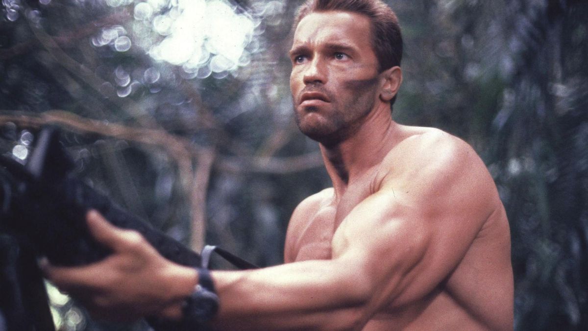Archivo - Arnold Schwarzenegger en una imagen de archivo