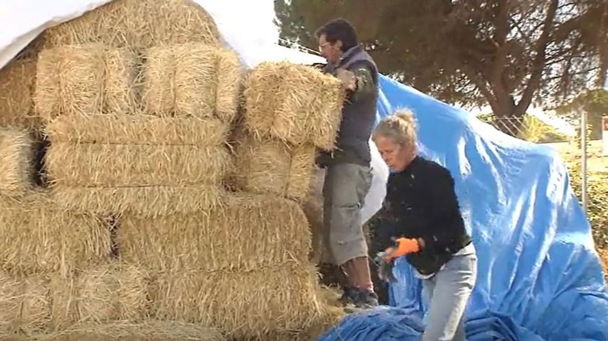 El sorprendente material con el que una pareja construye su casa