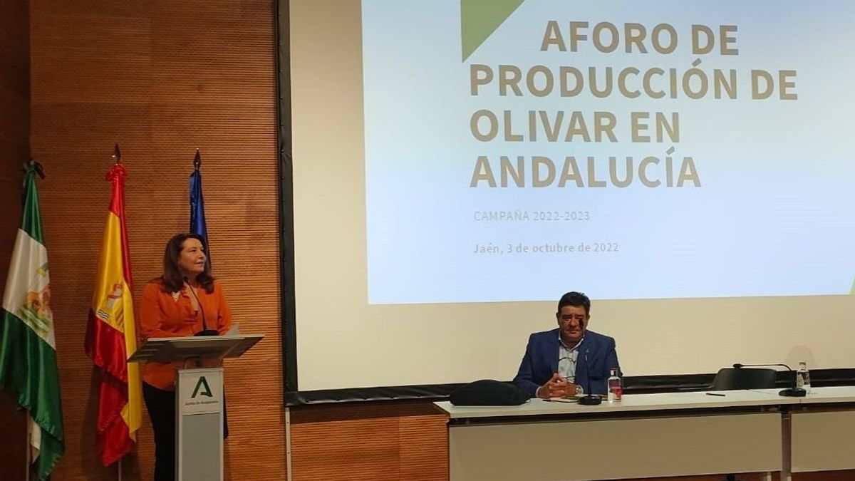 Carmen Crespo presenta el aforo del olivar 2022-2023. Carmen Crespo presenta el aforo del olivar 2022-2023.