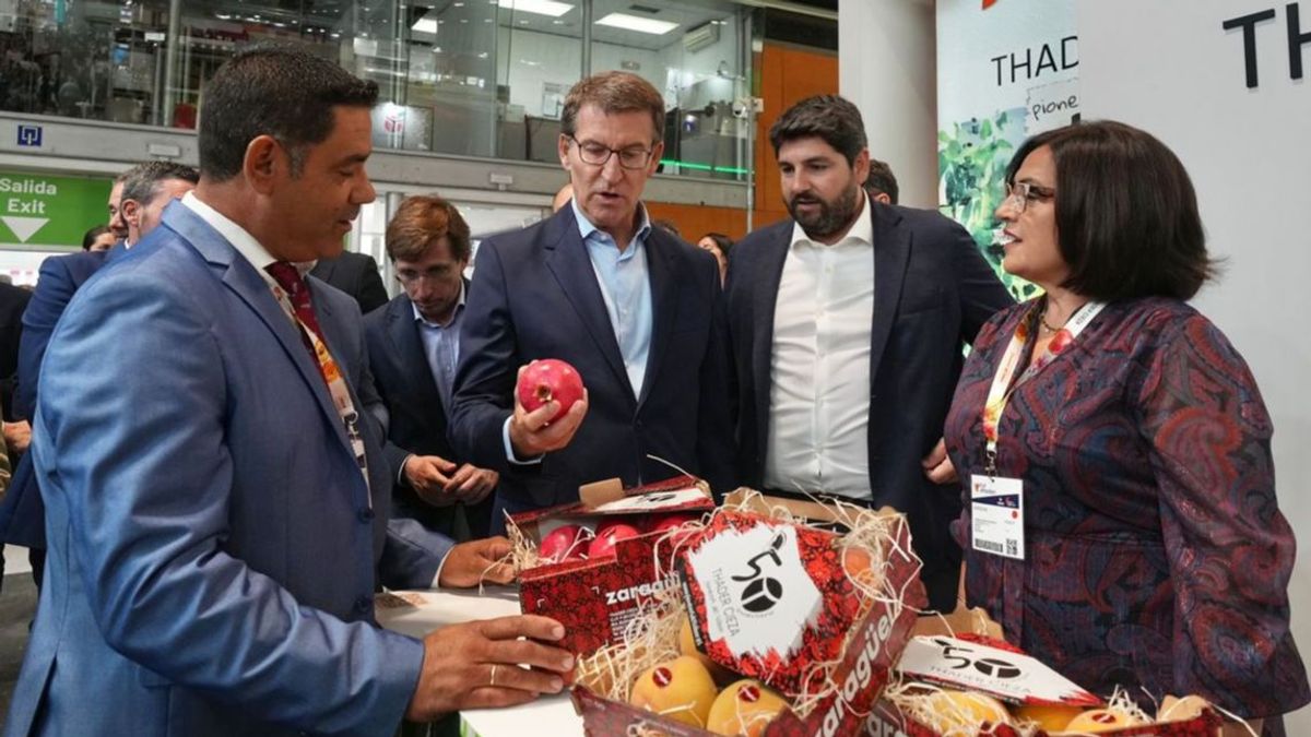 Alberto Núñez Feijóo junto al presidente de Murcia, Fernando López Miras, en un pabellón de la Feria 'Fruit Attraction' Alberto Núñez Feijóo junto al presidente de Murcia, Fernando López Miras, en un pabellón de la Feria 'Fruit Attraction'