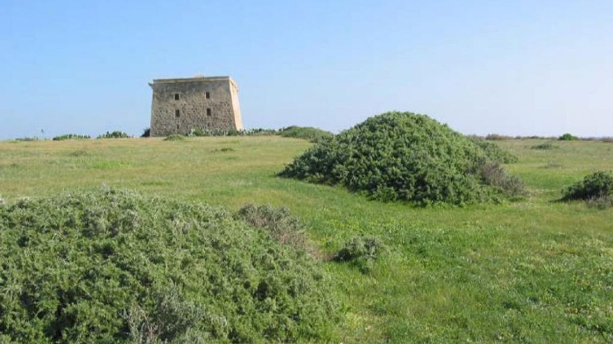 El Ayuntamiento de Alicante adquiere la totalidad del Campo de la Isla de Tabarca