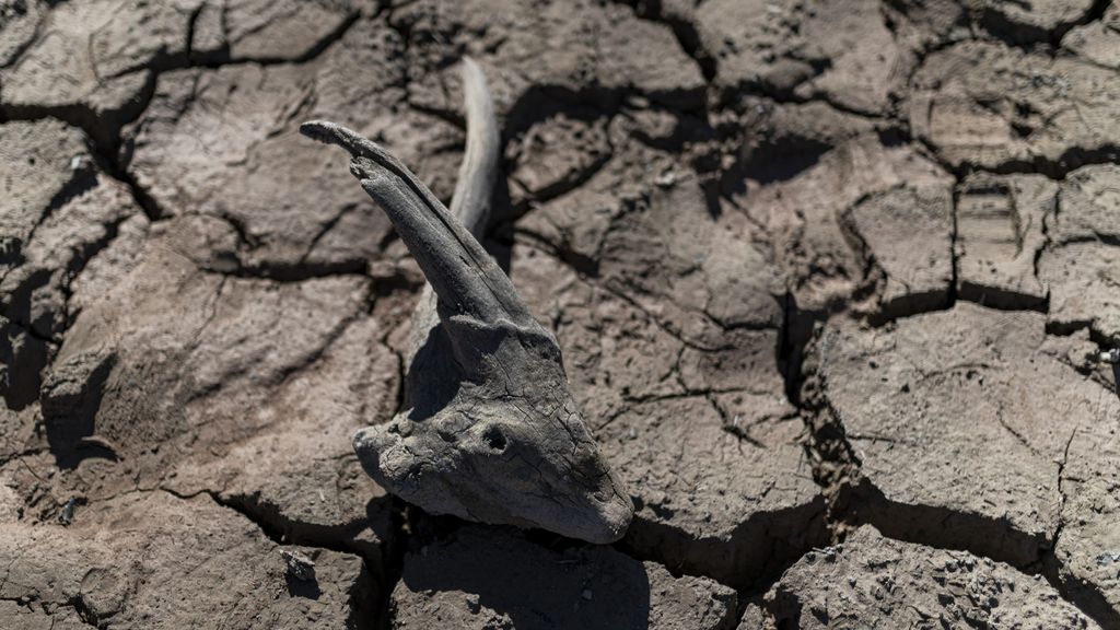 La sequía acorrala a España