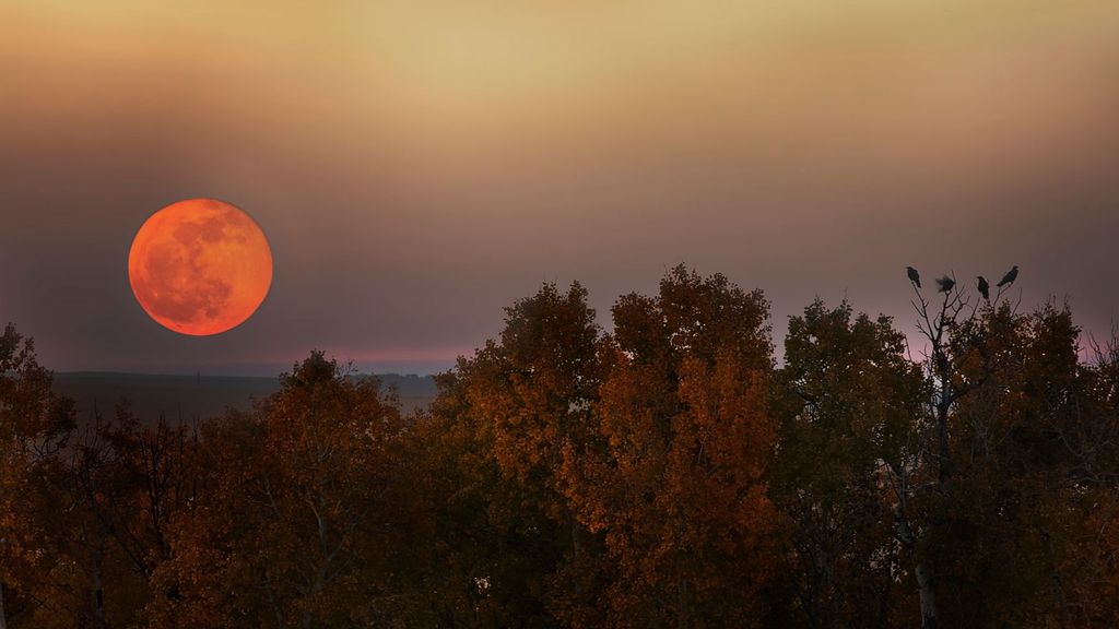 La Luna del Cazador se verá más grande y anaranjada de lo habitual