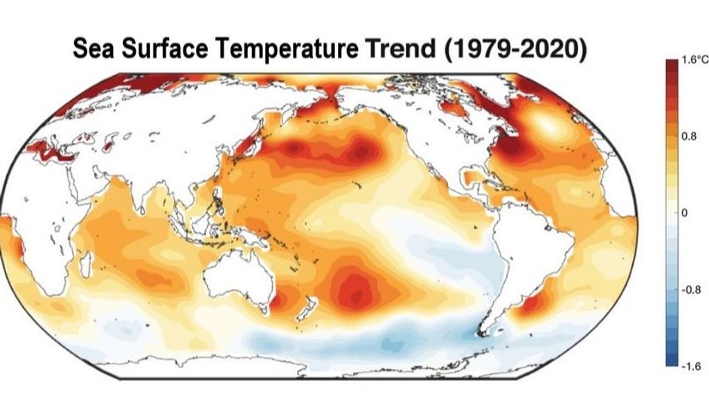 Las observaciones de la temperatura de la superficie del mar de 1979 a 2020 muestran que la superficie del Océano Pacífico se ha enfriado en América del Sur y se ha calentado en Asia, lo opuesto a lo que se espera a largo plazo con el calentamiento global