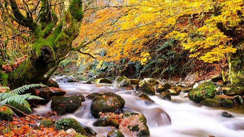 Asturias en otoño.