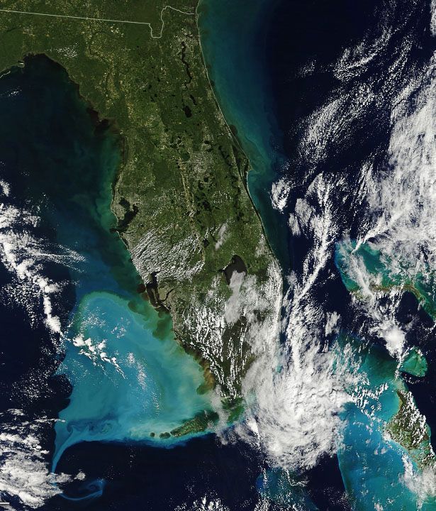 Florida, 1 de octubre