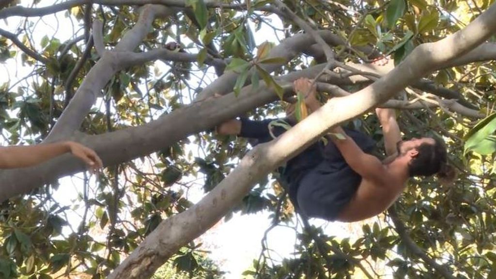 El 'Tarzán de Barcelona': por 10 euros la hora enseña a trepar por los árboles como un mono