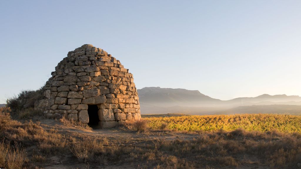 Guardaviñas El Perdigón