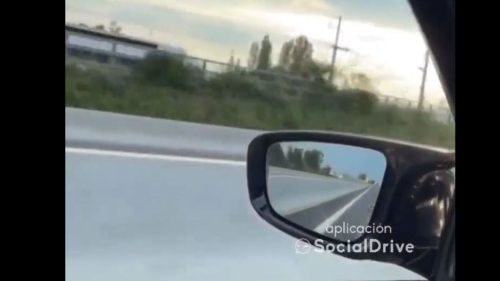 Un hombre se empeña en hacer una carrera con un tren y las redes lo condenan