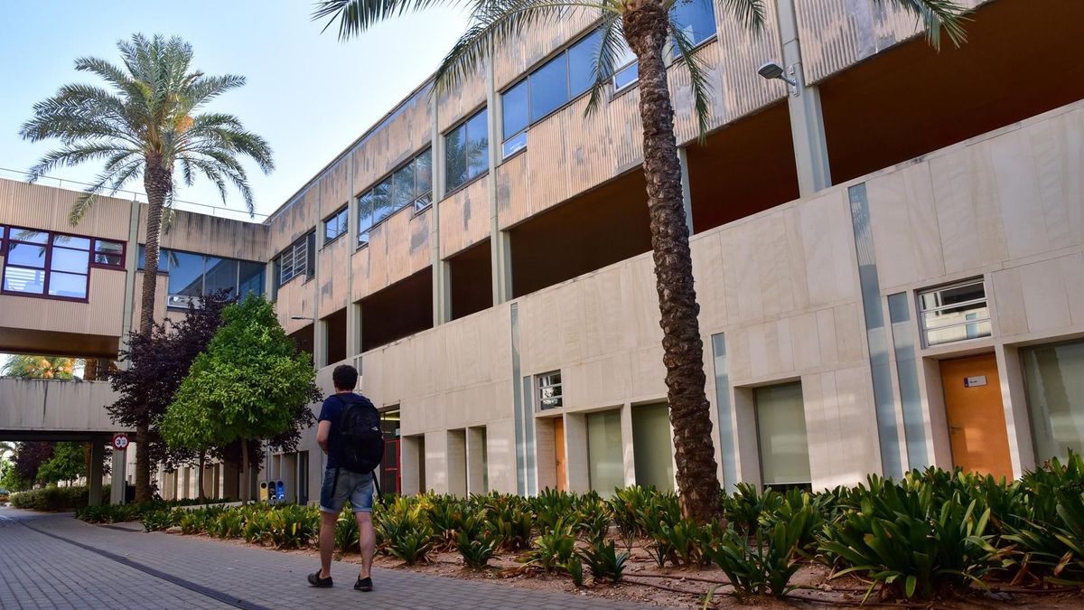 Universidad Politécnica de Valencia Universidad Politécnica de Valencia